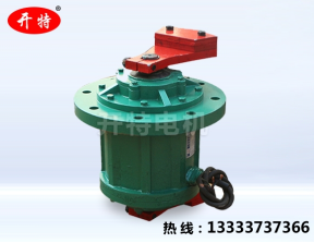 XKTL立式振動電機(jī)
